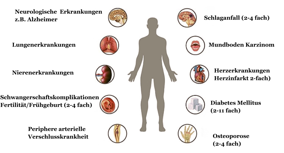 Neurologische  Erkrankungen z.B. Alzheimer Schlaganfall (2-4 fach) Osteoporose (2-4 fach) Mundboden Karzinom Lungenerkrankungen Nierenerkrankungen Schwangerschaftskomplikationen Fertilität/Frühgeburt (2-4 fach)  Periphere arterielle Verschlusskrankheit Herzerkrankungen Herzinfarkt 2-fach) Diabetes Mellitus  (2-11 fach)